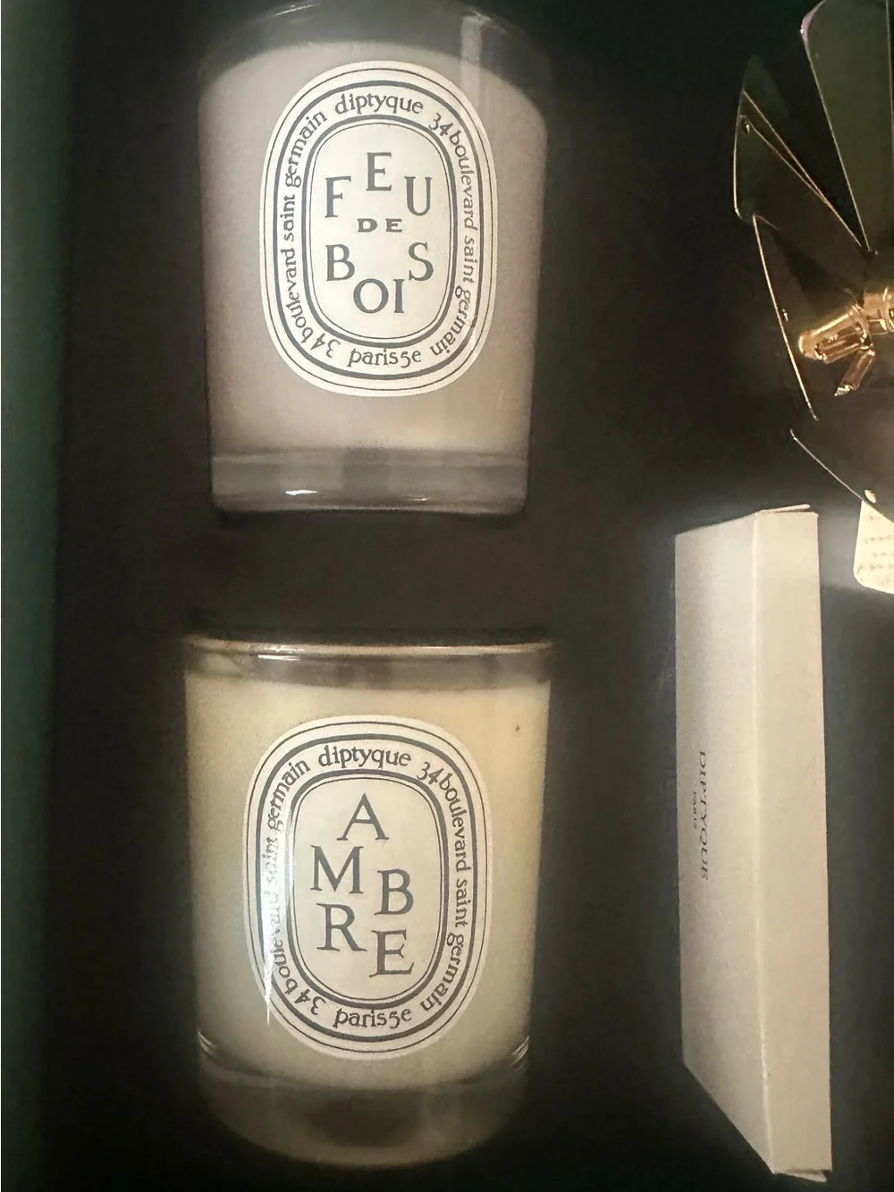 Diptyque Set of 2 Scented Candles with Carousel Feu de Bois & Ambre Limited Edit